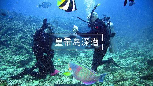 摩娜的时尚装扮